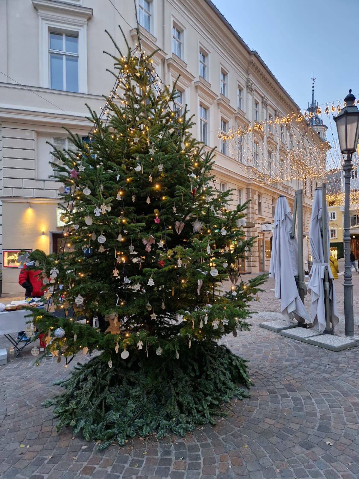 Baum der Erinnerung von Wandelstern in Klagenfurt