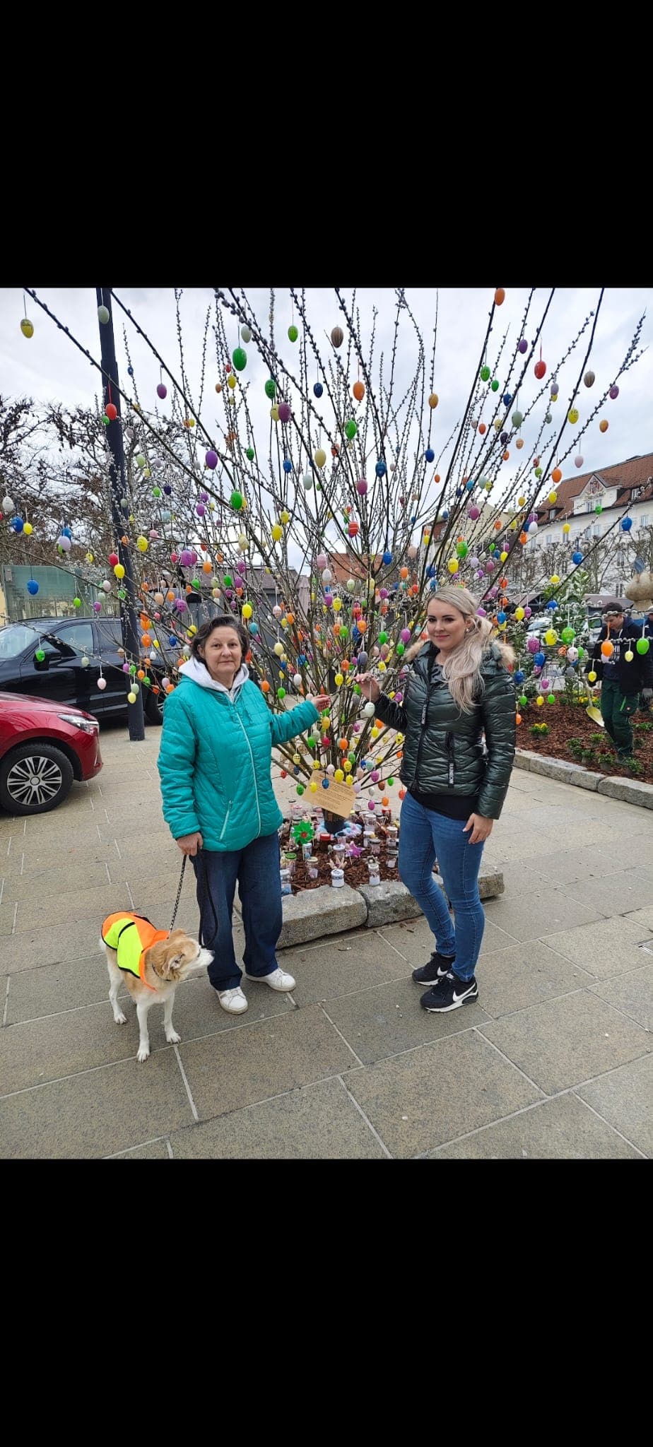 Sterne schauen Projekt Ort 2 - Wandelstern